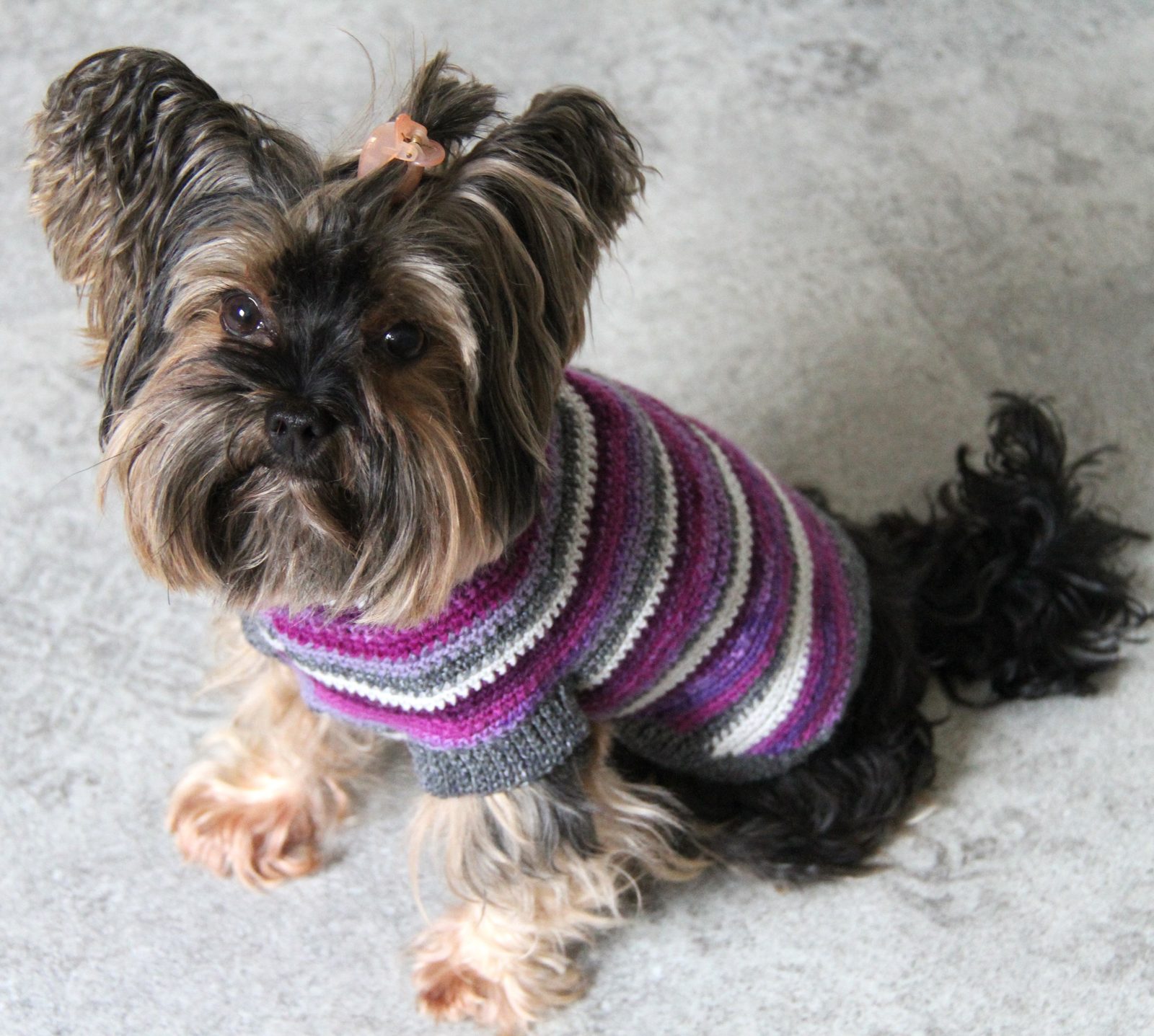 Kaya Dog Sweater